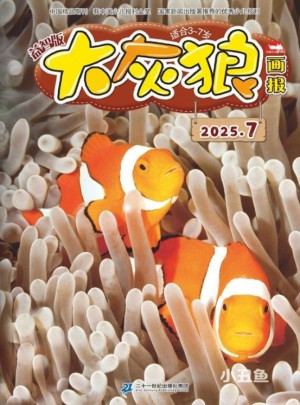 大灰狼杂志订阅